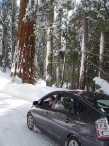 Певица Марина Ви Певица Марина Ви
