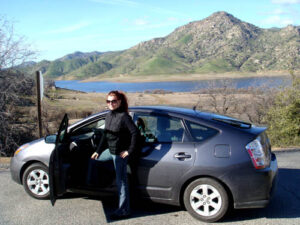 Певица Марина Ви Певица Марина Ви. Автовладелец