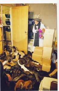 Марина Хлебникова Марина Хлебникова в приюте для кошек