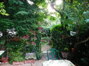 Сад Дидье Маруани Сад Дидье Маруани