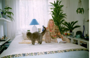 Наталья Гулькина (Мираж) Наталья Гулькина (Мираж), дом, семья, ремонт