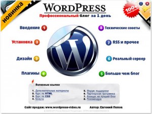Обзор курса "Wordpress – Профессиональный блог за один день" Обзор курса "Wordpress – Профессиональный блог за один день"