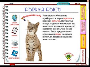 Игра “Эти удивительные животные”