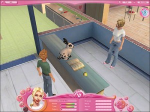 Игра “Мои любимцы” Игра “Мои любимцы”