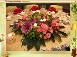 Диск “Растения в интерьере. Практический курс” Диск “Растения в интерьере. Практический курс”