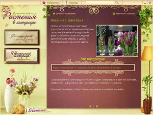 Диск “Растения в интерьере. Практический курс” Диск “Растения в интерьере. Практический курс”