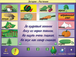 Игра “Загадки” Игра “Загадки”