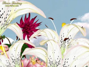 Диск “Цветочная Фантазия” Диск “Цветочная Фантазия”