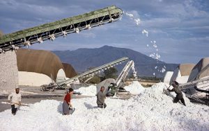 Хлопок Хлопок