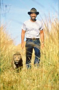 Жан-Поль Бельмондо. Кадр из фильма "Баловень судьбы". Жан-Поль Бельмондо. Кадр из фильма "Баловень судьбы"