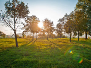 О погоде в Страстные дни и на Пасху