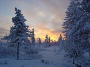 Очерк зимнего дня Очерк зимнего дня