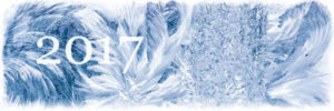С новым 2017 годом! С новым 2017 годом!