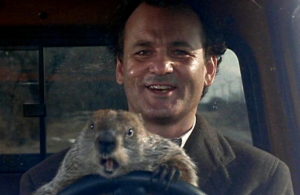 «День сурка» «День сурка»