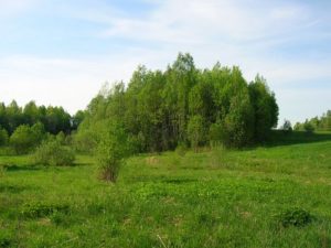 Примерное место бывшего поселения пленных австрийцев в нашей деревне в 1914 году. Примерное место бывшего поселения пленных австрийцев в нашей деревне в 1914 году.