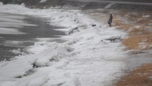 Таганрог. Съемки фильма "Чехов Интерстеллар". Таганрог. Съемки фильма "Чехов Интерстеллар".