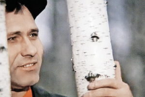 Кадр из фильма "Калина красная" Кадр из фильма "Калина красная"