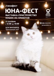 Юна-фест, выставка-пристройство кошек Юна-фест, выставка-пристройство кошек, приют животных