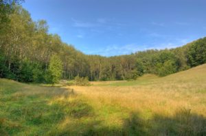 Савиново поле, деревня Косые Харчевни Савиново поле, деревня Косые Харчевни