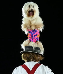 Клоун Май Клоун Май