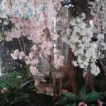 Москва. Павильон 12 месяцев Москва. Павильон 12 месяцев