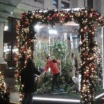 Москва. Новогодние стеклянные павильоны Москва. Новогодние стеклянные павильоны