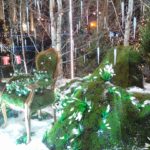 Москва. Новогодние стеклянные павильоны Москва. Новогодние стеклянные павильоны