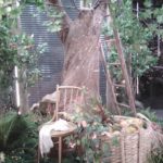 Москва. Павильон август Москва. Павильон август