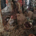 Москва. Павильон сентябрь Москва. Павильон сентябрь