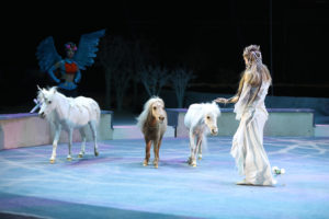 Новогоднее цирковое шоу Леонида и Дарьи Костюк «Тринадцать месяцев» Новогоднее цирковое шоу Леонида и Дарьи Костюк «Тринадцать месяцев»