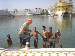 Голубые горы Нилгири. Индия удивительная, неожиданная и контрастная