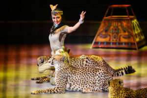 Дарья Костюк Дарья Костюк