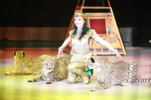 Дрессировщица Дарья Костюк Дрессировщица Дарья Костюк с гепардами