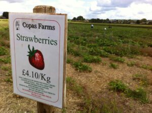 На Туманном Альбионе. Часть пятая. Наш быт на ферме. Кухня