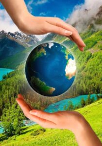 Экология Экология