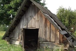 Репная яма Репная яма