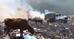 Свалка Свалка