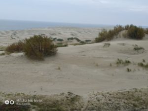 Куршская коса Куршская коса, Белое солнце пустыни