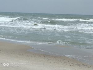 Куршская коса Куршская коса