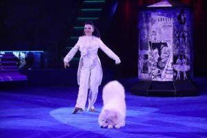 «Все краски мира» в Цирке Никулина на Цветном бульваре «Все краски мира» в Цирке Никулина на Цветном бульваре