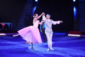 Программа «Цирка Дарьи Костюк» «ВСЕ КРАСКИ МИРА!»