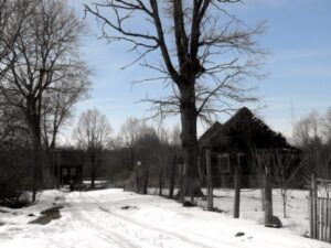 Деревни Хвоёнка и Дрехова-Нунгоша