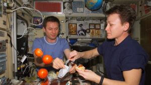 Еда в космосе Еда в космосе