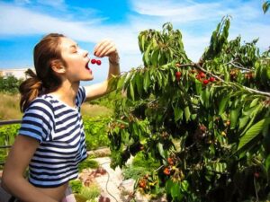Ольга Куриленко Ольга Куриленко, здоровый образ жизни, правильное питание