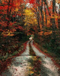 Англия, осень Англия, осень