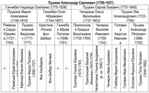 Родословная А.С. Пушкина Родословная А.С. Пушкина