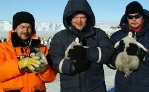 Смена… пингвинам… Пингвины