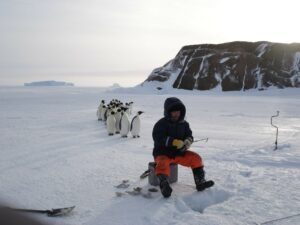 Пингвины и Ким Пингвины и Ким