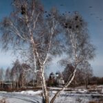 Весна в деревне Весна в деревне