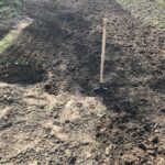 В деревне В деревне